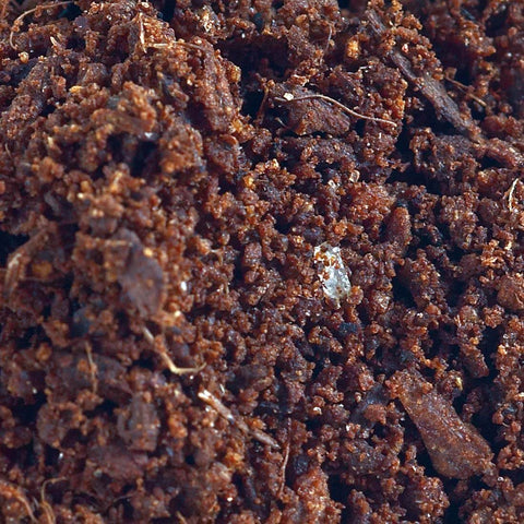 Kokosova šota za rastline in bonsaje 1,5 kg