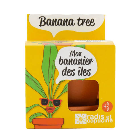 SET - Gojitveni lonec za sajenje bananovca, za otroke