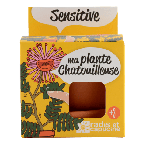 SET - Gojitveni lonec za sajenje Mimoze, za otroke