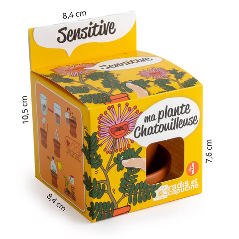 SET - Gojitveni lonec za sajenje Mimoze, za otroke