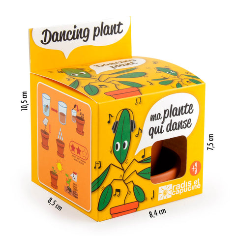SET - Gojitveni lonec za sajenje Plesoče rastline