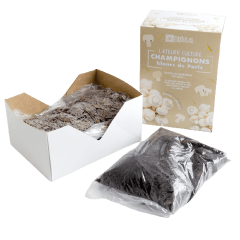 SET - Gojenje gob, belih šampinjonov Paris 1kg