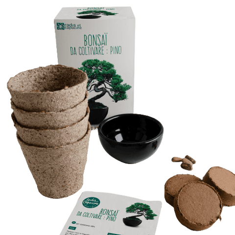 SET - Bonsai Pinus & Gnojilo za bonsaje s probiotiki