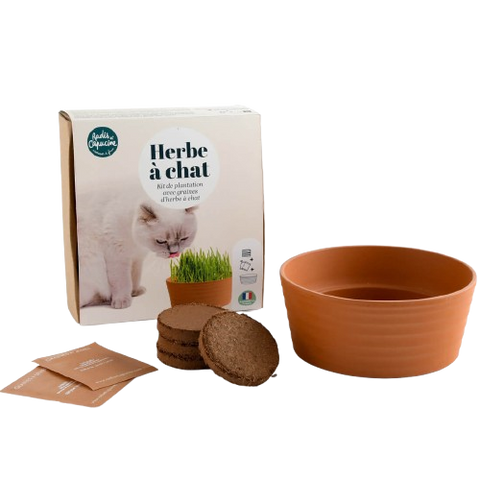 SET - Gojenje mačje mete
