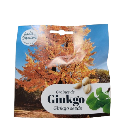 Semena Ginkgo Biloba