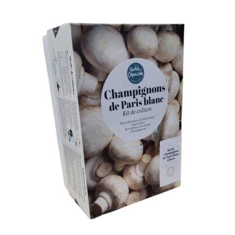SET - Gojenje gob, beli šampinjoni Paris