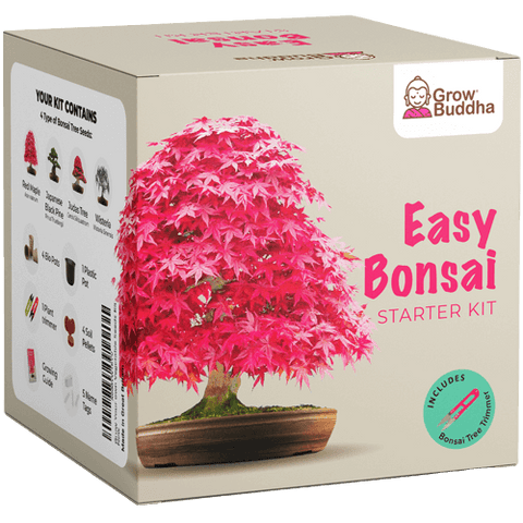 SET - Bonsai, gojenje 4 vrst rastlin+2 vrsti gratis semen