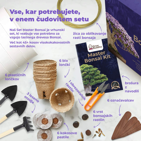 SET - Bonsai Master, gojenje 6.vrst rastlin + orodje