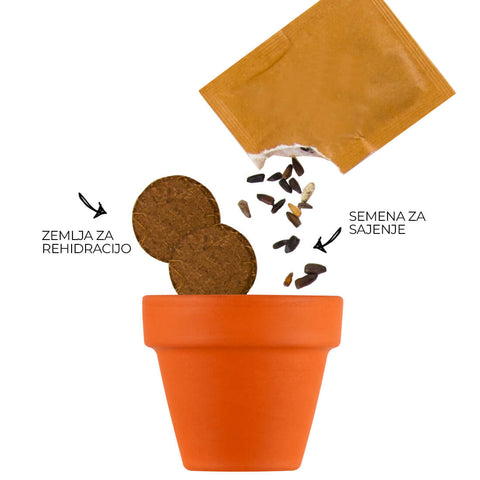 SET - Gojitveni lonec za sajenje čebeljih cvetlic