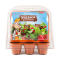 SET - Mini rastlinjak za gojenje jagod, za otroke