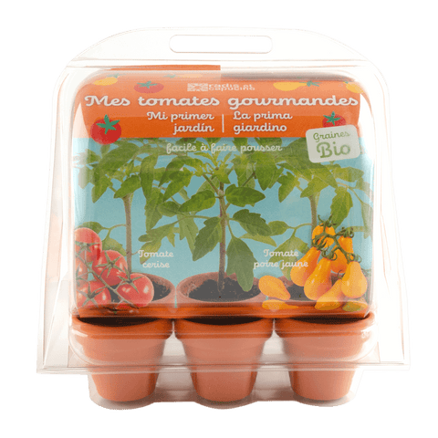 SET - Mini rastlinjak za gojenje paradižnika, za otroke