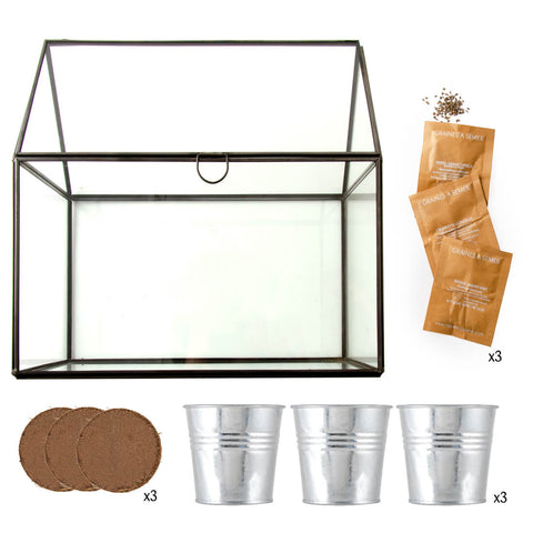 SET - Kovinski rastlinjak za sajenje aromatičnih zelišč, 3x
