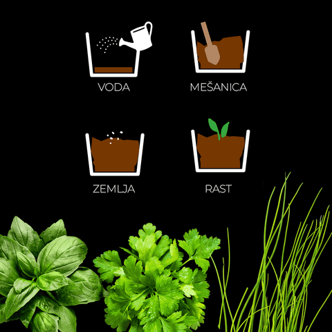 SET - Kovinski rastlinjak za sajenje aromatičnih zelišč, 3x