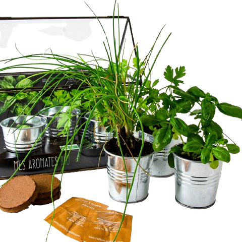 SET - Kovinski rastlinjak za sajenje aromatičnih zelišč, 3x