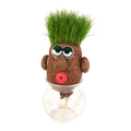 SET - Fantazijska travnata glava Mr. GREEN, za otroke