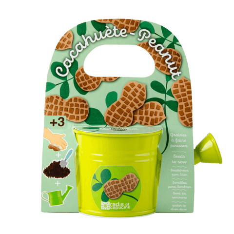SET - Mini zalivalka s semeni arašidov, za otroke