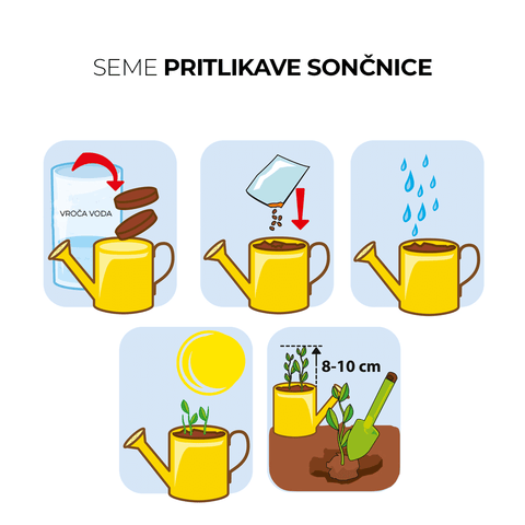 SET - Mini zalivalka s semeni ekološke sončnice, za otroke