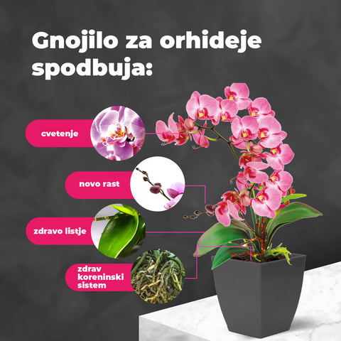 Gnojilo za orhideje s probiotiki, 100 ml