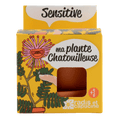 SET - Gojitveni lonec za sajenje Mimoze, za otroke