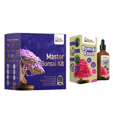 SET - Bonsai Master 6.vrst & Gnojilo za bonsaje s probiotiki