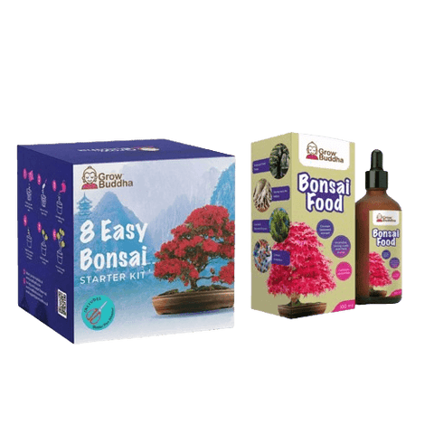 SET - Bonsai Easy 8.vrst & Gnojilo za bonsaje s probiotiki