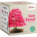 SET - Bonsai, gojenje 4 vrst rastlin+2 vrsti gratis semen