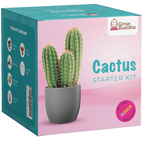 SET - Kaktus, gojenje različnih vrst