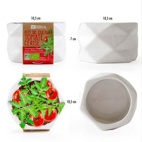 SET - Origami lonček za sajenje EKO češnjevega paradižnika