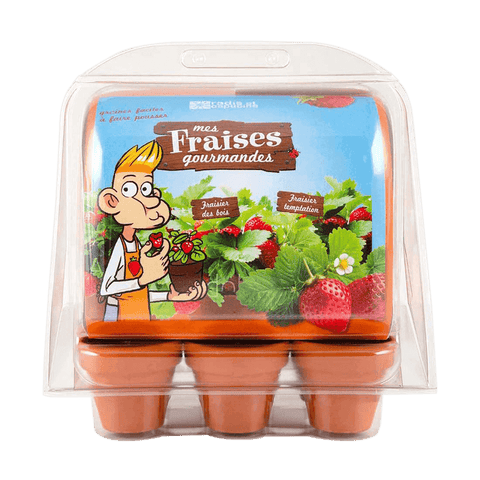 SET - Mini rastlinjak za gojenje jagod, za otroke