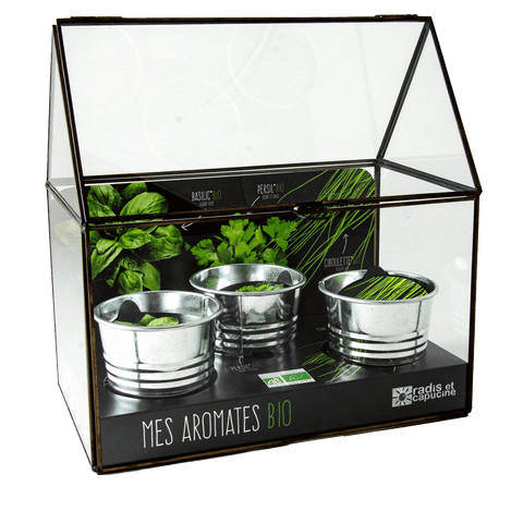 SET - Kovinski rastlinjak za sajenje aromatičnih zelišč, 3x