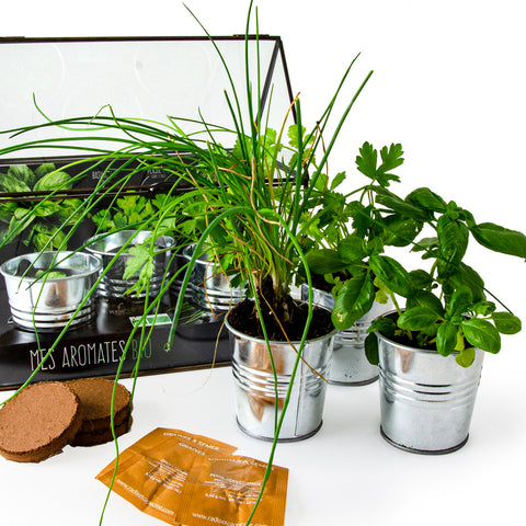 SET - Kovinski rastlinjak za sajenje aromatičnih zelišč, 3x