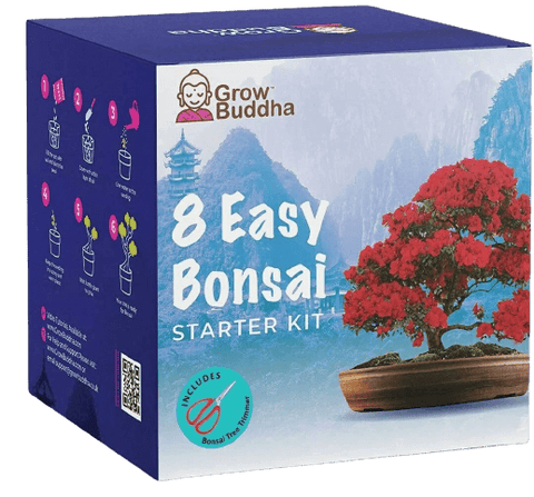 SET - Bonsai Easy, gojenje 8. vrst rastlin + škarje