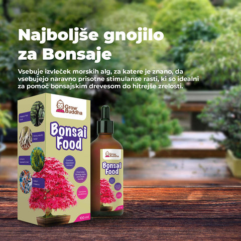 SET - Bonsai semena 4.vrst & Gnojilo za bonsaje s probiotiki